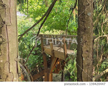 A wooden pedestrian bridge spans the trees of Seralves Park in Porto, Portugal. Concepts include green infrastructure, nature conservation, and sustainable tourism. A wooden pedestrian bridge spans the trees of Seralves Park in Porto, Portugal. Concepts include green infrastructure, nature conservation, and sustainable tourism. 139420447