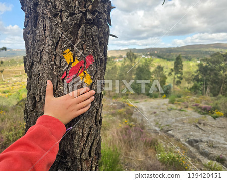A toddler boy points to a painted trail sign on a tree in a natural landscape on Portugal's trails. Themes include exploring nature, orienteering, and connection to nature. A toddler boy points to a painted trail sign on a tree in a natural landscape on Portugal's trails. Themes include exploring nature, orienteering, and connection to nature. 139420451