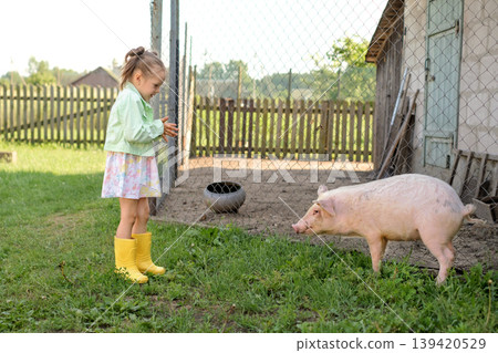 A cute little girl in the yard is looking at a pet pig. Childhood in a village with farm animals A cute little girl in the yard is looking at a pet pig. Childhood in a village with farm animals 139420529