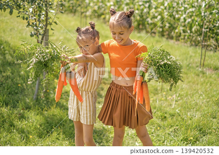 The girl clumsily holds a bunch of fresh carrots. Children eat vegetables straight from the garden. Non-gmo organic farm products The girl clumsily holds a bunch of fresh carrots. Children eat vegetables straight from the garden. Non-gmo organic farm products 139420532