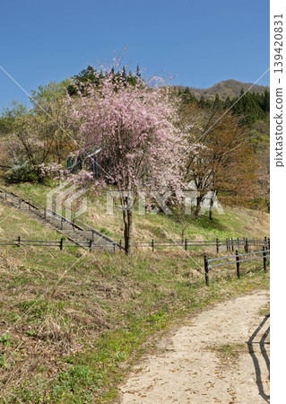 Okushima Lake in early summer: Inaho Seseragi Park Okushima Lake in early summer: Inaho Seseragi Park 139420831