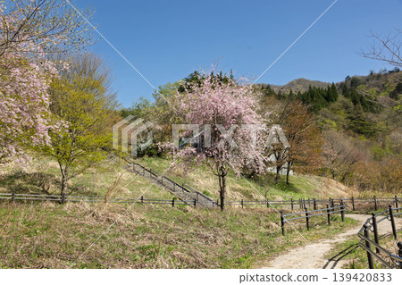 Okushima Lake in early summer: Inaho Seseragi Park Okushima Lake in early summer: Inaho Seseragi Park 139420833