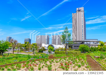 東京都江東區有明市象徵長廊公園(花廣場) 東京都江東區有明市象徵長廊公園(花廣場) 139421345