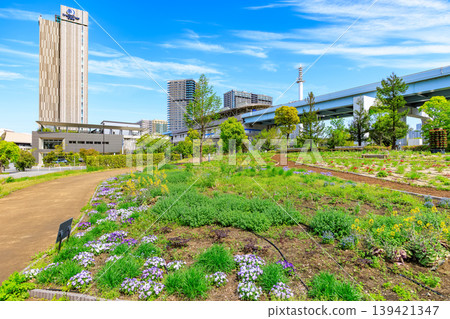 東京都江東區有明市象徵長廊公園(花廣場) 東京都江東區有明市象徵長廊公園(花廣場) 139421347