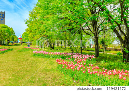 東京都江東區有明市的Symbol Promenade Park(中心長廊) 東京都江東區有明市的Symbol Promenade Park(中心長廊) 139421372