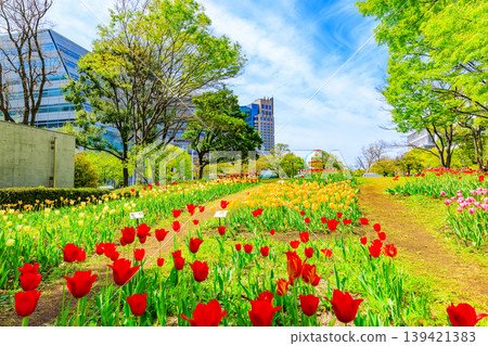 東京都江東區有明市的Symbol Promenade Park(中心長廊) 東京都江東區有明市的Symbol Promenade Park(中心長廊) 139421383