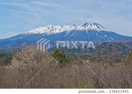 禦嶽山上的春花與殘雪 139421445