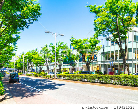 東京新鮮的綠色表參道 東京新鮮的綠色表參道 139421525