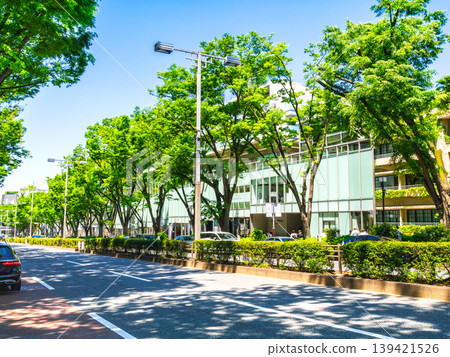 東京新鮮的綠色表參道 東京新鮮的綠色表參道 139421526