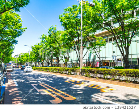 東京新鮮的綠色表參道 東京新鮮的綠色表參道 139421527