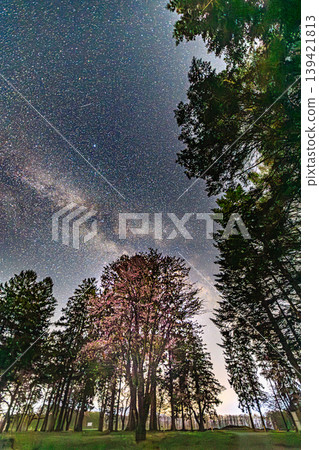 A fantastical spring night sky adorned with cherry blossoms and the Milky Way. A fantastical spring night sky adorned with cherry blossoms and the Milky Way. 139421813