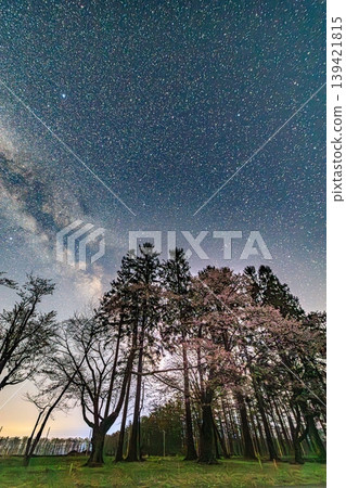 繁星點點的夜空和銀河映襯下，櫻花盛開，景色美得令人窒息。 139421815