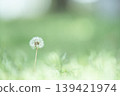 起毛 139421974