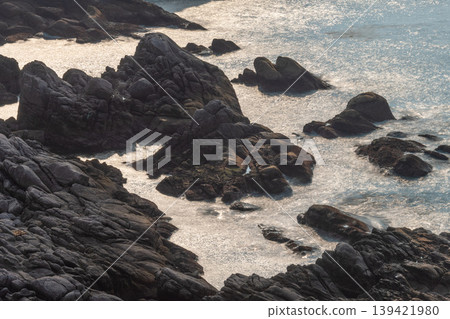 屋久島，神靈居住的島嶼：環境生態圖（春季） 139421980