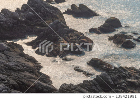 Yakushima, the island where gods reside: Environmental eco-image (Spring) Yakushima, the island where gods reside: Environmental eco-image (Spring) 139421981