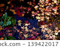 笹栗町明石寺：水面上飄浮的紅葉 139422017
