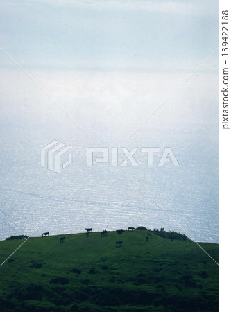 Grazing scenery from Matengai Observatory on Kuniga Coast, Nishinoshima Island Grazing scenery from Matengai Observatory on Kuniga Coast, Nishinoshima Island 139422188