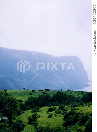 從隱岐群島西之島國賀海岸的馬滕蓋展望台眺望牧場景色 從隱岐群島西之島國賀海岸的馬滕蓋展望台眺望牧場景色 139422206