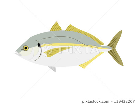 條紋傑克魚插圖 139422207