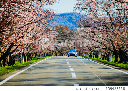 The cherry blossom road in full bloom and the straight spring road The cherry blossom road in full bloom and the straight spring road 139422218