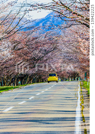 Springtime on the Yushun Sakura Road, where mountain ranges and cherry blossoms intertwine. Springtime on the Yushun Sakura Road, where mountain ranges and cherry blossoms intertwine. 139422225
