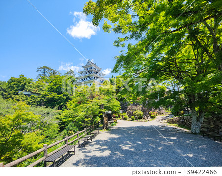 Gujo Hachiman Castle Gujo Hachiman Castle 139422466