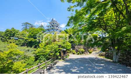 Gujo Hachiman Castle 139422467