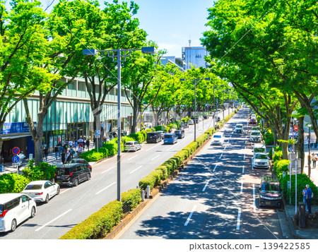 Omotesando, Tokyo during Golden Week 139422585