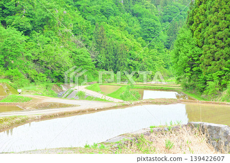 位於多馬高原腳下的梯田:春意盎然的插秧景象,新潟縣十日町市 位於多馬高原腳下的梯田:春意盎然的插秧景象,新潟縣十日町市 139422607