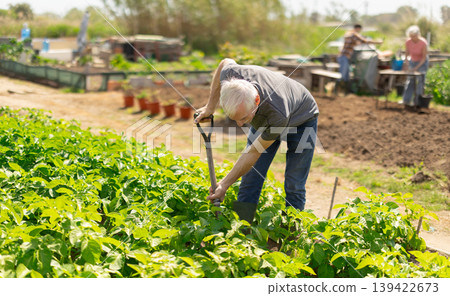 Elderly man with shovel working on farm field Elderly man with shovel working on farm field 139422673