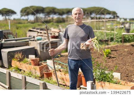 Male farmer harvesting green onion at plantation on sunny day 139422675