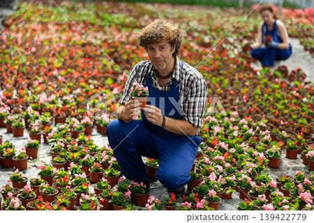 Man garden store worker holds a begonia 139422779
