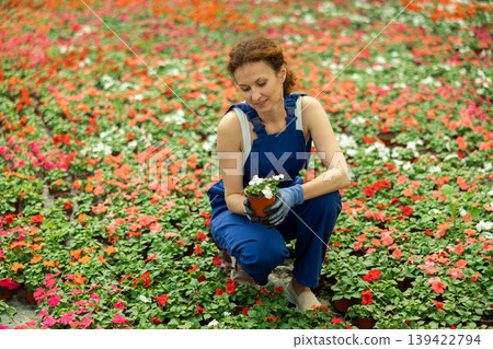 Woman Greenhouse Worker with Flowers 139422794
