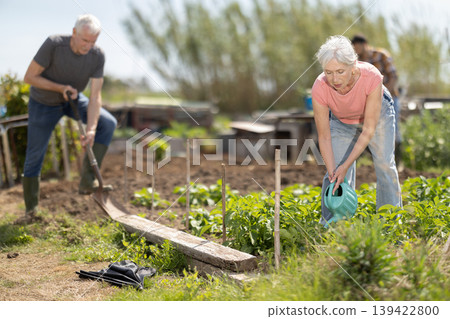 Elderly woman watering plants with watering can 139422800