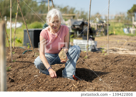 Elderly woman planting seeds in farm field Elderly woman planting seeds in farm field 139422808