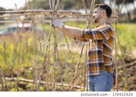 Young man making bamboo plant supports on farm plantation Young man making bamboo plant supports on farm plantation 139422820