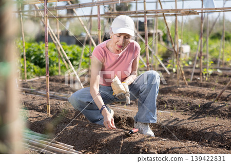 Elderly woman planting seeds in farm field Elderly woman planting seeds in farm field 139422831
