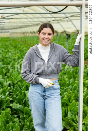 Portrait of positive farmer girl against the background of chard in greenhouse 139422865