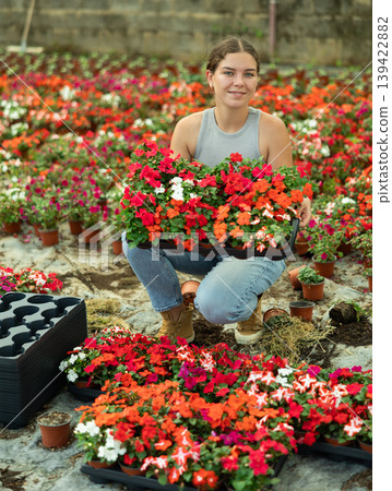 Portrait of positive girl with a tray of flowers Balsaminaceae genus in her hands in large greenhouse Portrait of positive girl with a tray of flowers Balsaminaceae genus in her hands in large greenhouse 139422882