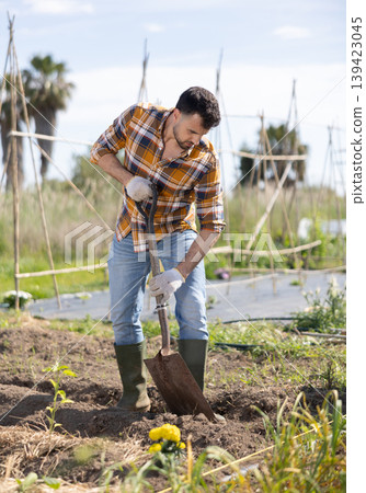 Male farmer digs soil in the garden beds with shovel Male farmer digs soil in the garden beds with shovel 139423045