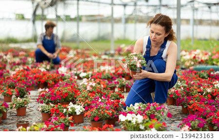 Woman Greenhouse Worker with Flowers 139423163