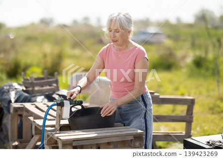 Elderly woman filling bucket with water for field irrigation Elderly woman filling bucket with water for field irrigation 139423269