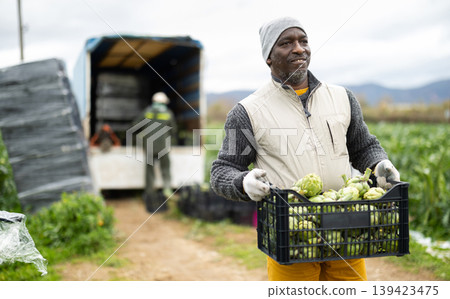 Portrait of positive farmer with box of ripe artichokes in his hands in field 139423475