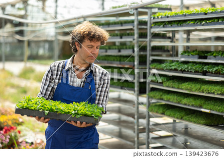 Man garden store worker with seedlings in her hands Man garden store worker with seedlings in her hands 139423676