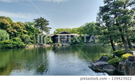 The fresh greenery at Zuiryutei in Tokugawa Garden / Photo 139423922