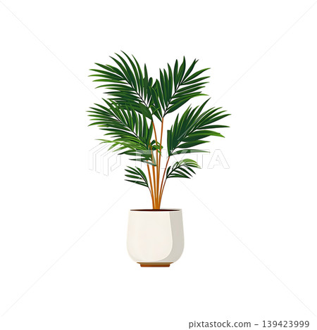 Areca Palm in White Pot on transparent background 139423999