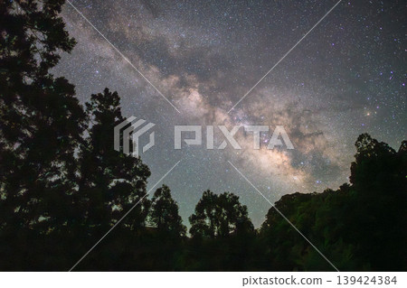 Yakushima, the Alps of the Ocean: Cedar Mountains and the Milky Way (Summer) 139424384
