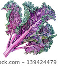 Watercolor Purple Kale Vegetable Leaves on Transparent Background 139424479