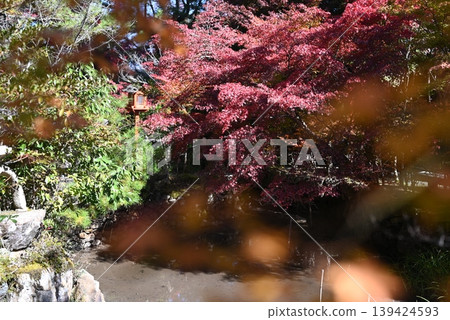 [京都]龜岡桑山神社的秋葉 139424593