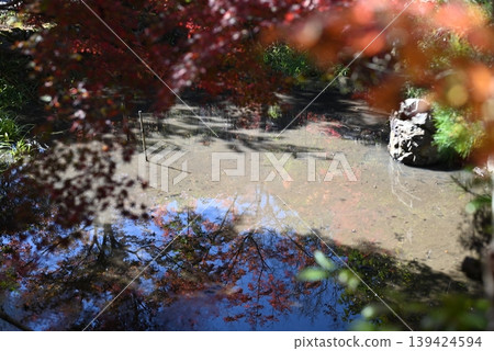 [京都]龜岡桑山神社的秋葉 139424594